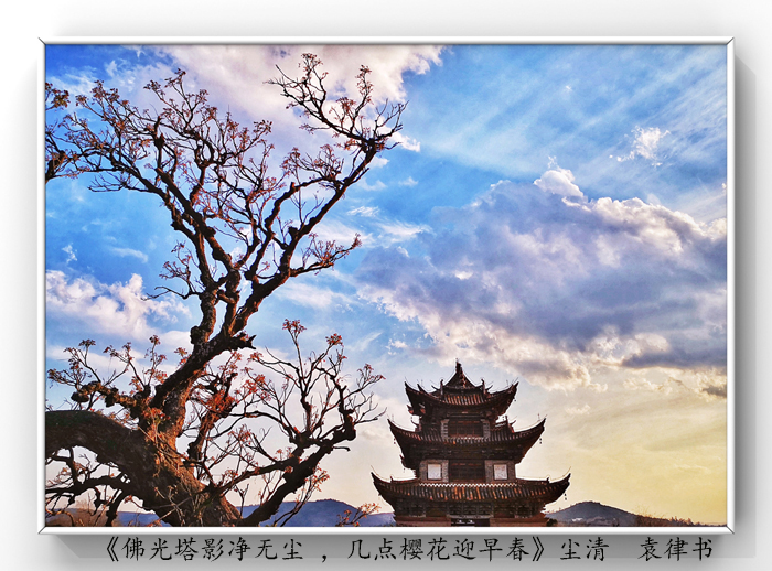 025《佛光塔影凈無塵 ，幾點櫻花迎早春》.jpg